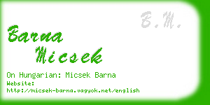 barna micsek business card